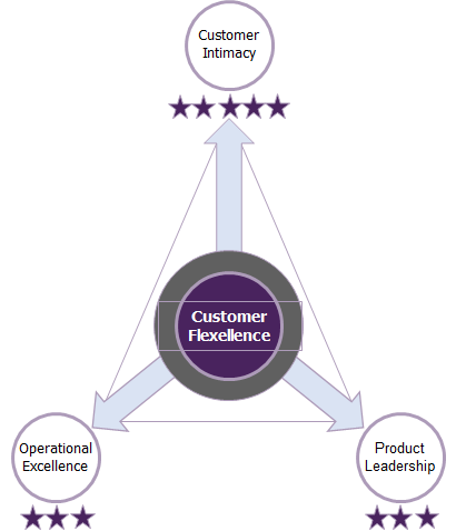 24rosa-marktstrategie-customer-flexcellence